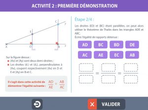 trigo03