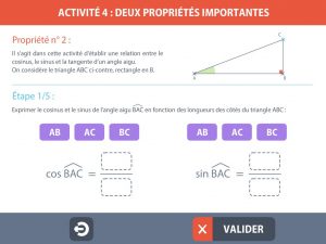 trigo04